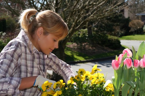 A young girl with light brown hair tied back, wearing a plaid shirt and gardening gloves, is tending to a flower bed in a residential garden. She is reaching towards a cluster of yellow and pink tulips and pansies, which are flourishing in the sunny outdoor space. The garden features a neatly maintained lawn, with a paved pathway visible in the background, bordered by various shrubs and trees with bare branches, indicating early spring. The scene shows natural light illuminating the vibrant colours of the flowers and the greenery of the garden, with a suburban street and houses faintly visible in the distance. This outdoor environment is well-kept, demonstrating typical gardening practices, and the scene reflects services provided by companies like Lawn Mowing New Cross specializing in garden maintenance and landscaping in the local area of New Cross, London or nearby postcode areas.